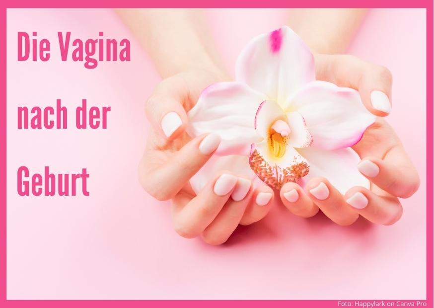Die Vagina nach der Geburt - Geburtsvorbereitung + Rückbildung.